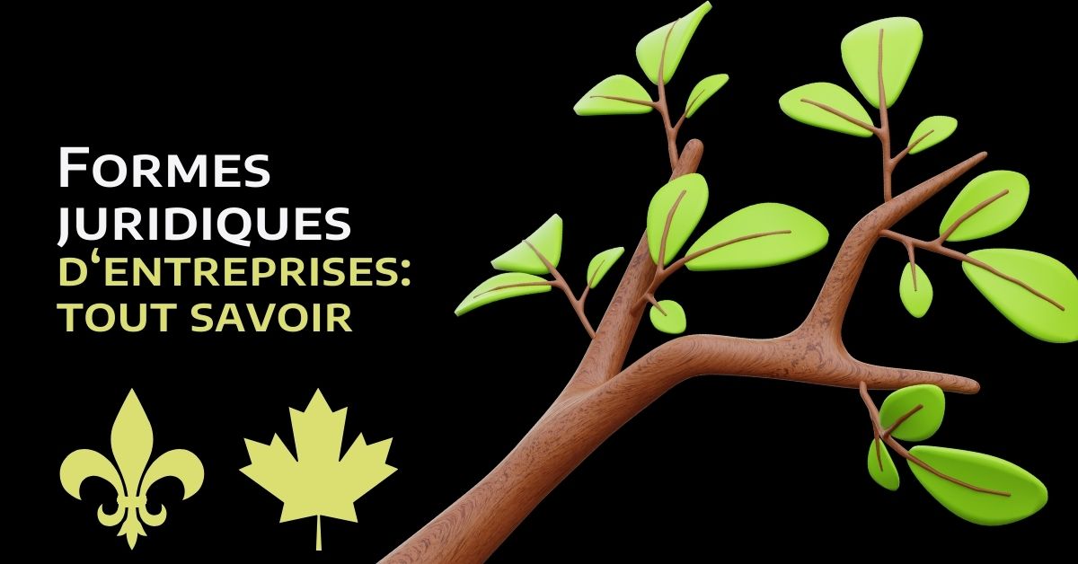 Les différentes formes juridiques d'entreprises : utilisations, particularités, avantages et inconvénients