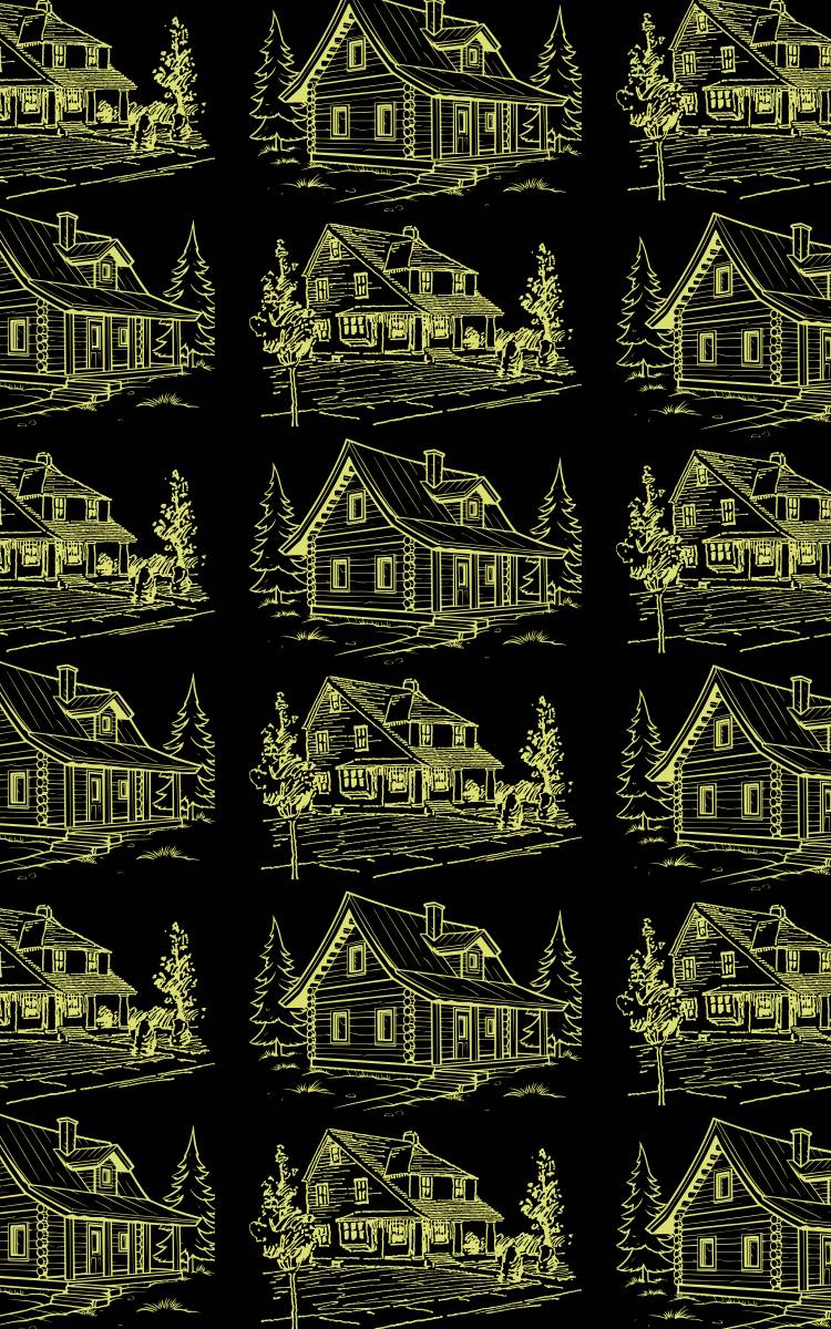 Domaine de chalets locatifs de luxe avec lac privé