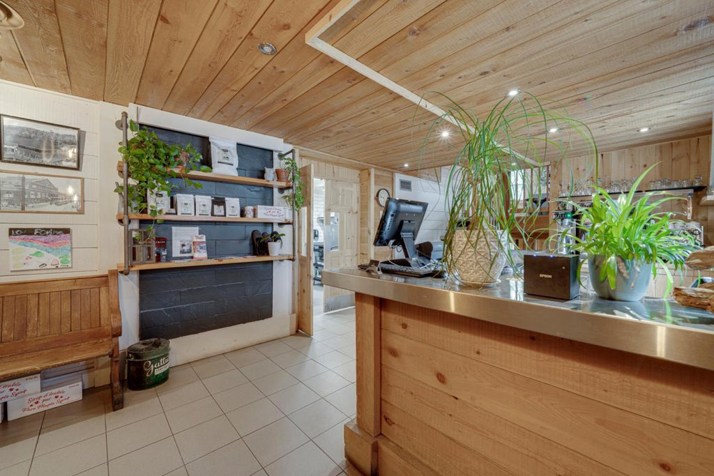Bâtisse commerciale à vendre